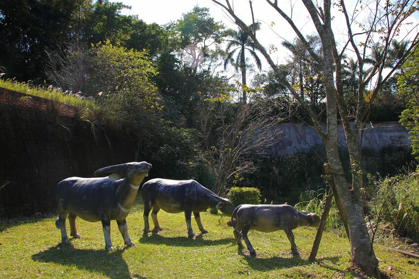 【桃園市龍潭景點】太平紅橋~漫步全國歷史百大建築 - 旅遊夜市趴趴走