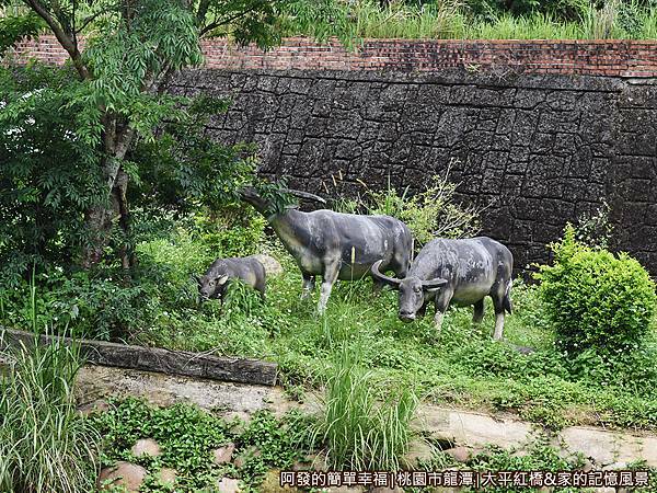大平紅橋03-牛群塑像.JPG