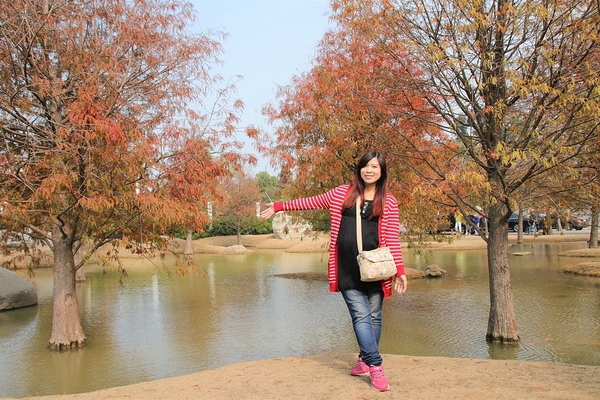 雲林虎尾青埔落羽松: 【雲林虎尾景點】青埔落羽松新秘境~圍繞著河畔而生,世外桃源與世隔絕的人間仙境