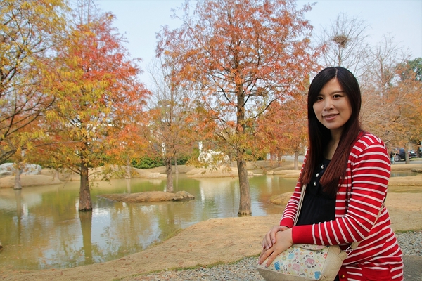 雲林虎尾青埔落羽松: 【雲林虎尾景點】青埔落羽松新秘境~圍繞著河畔而生,世外桃源與世隔絕的人間仙境