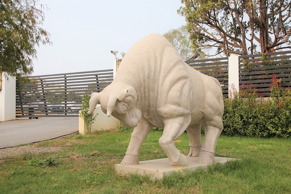 雲林虎尾青埔落羽松: 【雲林虎尾景點】青埔落羽松新秘境~圍繞著河畔而生,世外桃源與世隔絕的人間仙境
