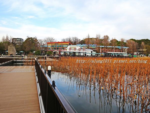 上野動物園:知識趣味兼具,大人小孩都喜歡!! ..來去上野動物園~~ 上野動物園:知識趣味兼具,大人小孩都喜歡!! ..來去上野動物園~~