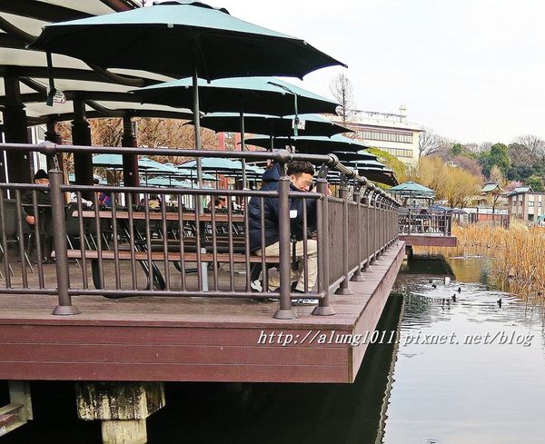 上野動物園:知識趣味兼具,大人小孩都喜歡!! ..來去上野動物園~~ 上野動物園:知識趣味兼具,大人小孩都喜歡!! ..來去上野動物園~~