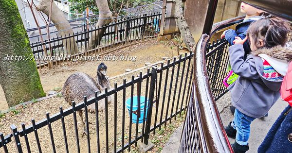 上野動物園:知識趣味兼具,大人小孩都喜歡!! ..來去上野動物園~~ 上野動物園:知識趣味兼具,大人小孩都喜歡!! ..來去上野動物園~~