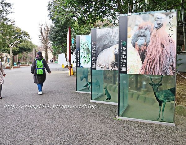 上野動物園:知識趣味兼具,大人小孩都喜歡!! ..來去上野動物園~~ 上野動物園:知識趣味兼具,大人小孩都喜歡!! ..來去上野動物園~~