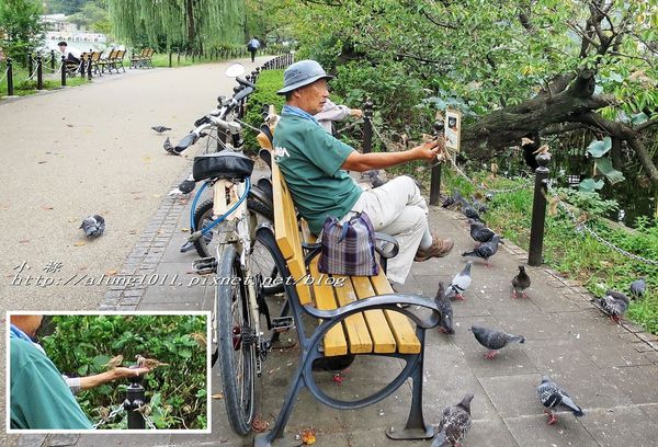 清水観音堂：上野公園南側 / 清水堂 / 弁天堂 / 不忍池畔傍晚散步~