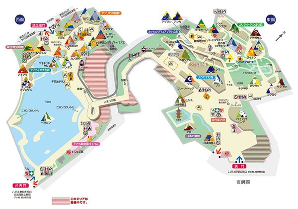 上野動物園:知識趣味兼具,大人小孩都喜歡!! ..來去上野動物園~~ 上野動物園:知識趣味兼具,大人小孩都喜歡!! ..來去上野動物園~~