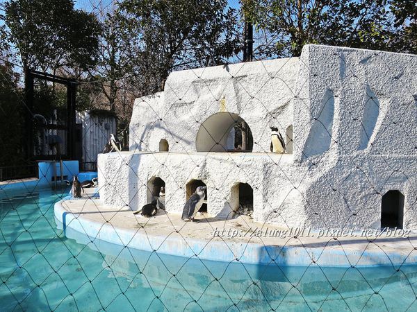 上野動物園:知識趣味兼具,大人小孩都喜歡!! ..來去上野動物園~~ 上野動物園:知識趣味兼具,大人小孩都喜歡!! ..來去上野動物園~~