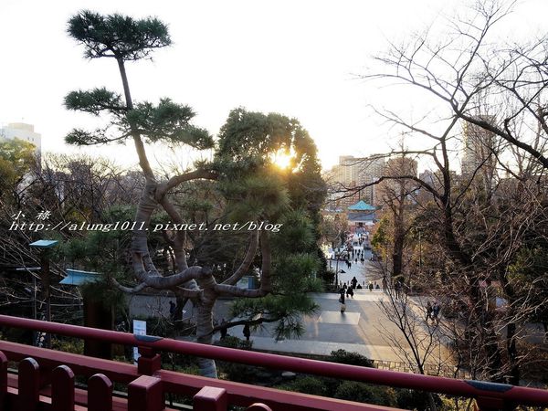 清水観音堂：上野公園南側 / 清水堂 / 弁天堂 / 不忍池畔傍晚散步~