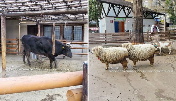 上野動物園:知識趣味兼具,大人小孩都喜歡!! ..來去上野動物園~~ 上野動物園:知識趣味兼具,大人小孩都喜歡!! ..來去上野動物園~~