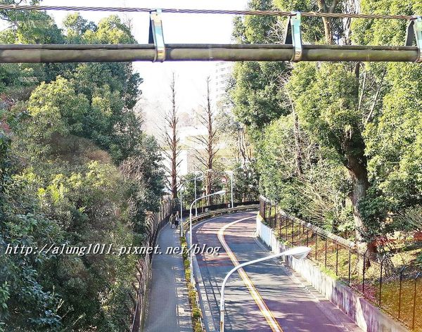 上野動物園:知識趣味兼具,大人小孩都喜歡!! ..來去上野動物園~~ 上野動物園:知識趣味兼具,大人小孩都喜歡!! ..來去上野動物園~~