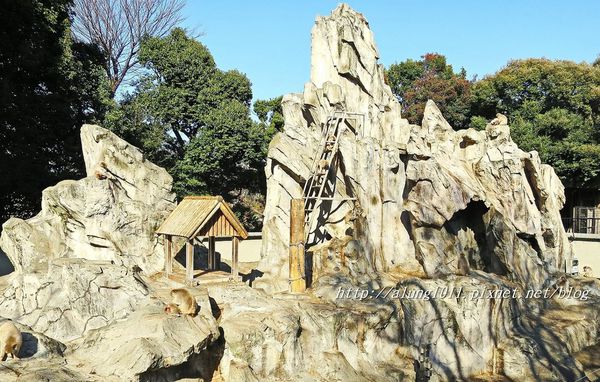 上野動物園:知識趣味兼具,大人小孩都喜歡!! ..來去上野動物園~~ 上野動物園:知識趣味兼具,大人小孩都喜歡!! ..來去上野動物園~~