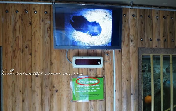 上野動物園:知識趣味兼具,大人小孩都喜歡!! ..來去上野動物園~~ 上野動物園:知識趣味兼具,大人小孩都喜歡!! ..來去上野動物園~~