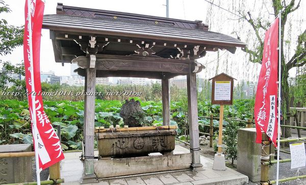 清水観音堂：上野公園南側 / 清水堂 / 弁天堂 / 不忍池畔傍晚散步~