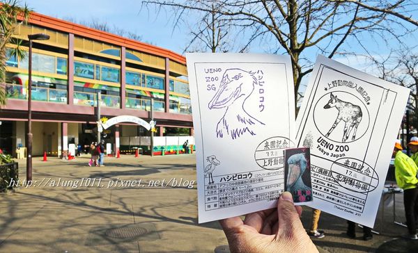 上野動物園:知識趣味兼具,大人小孩都喜歡!! ..來去上野動物園~~ 上野動物園:知識趣味兼具,大人小孩都喜歡!! ..來去上野動物園~~