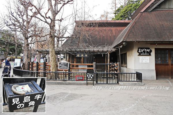 上野動物園:知識趣味兼具,大人小孩都喜歡!! ..來去上野動物園~~ 上野動物園:知識趣味兼具,大人小孩都喜歡!! ..來去上野動物園~~