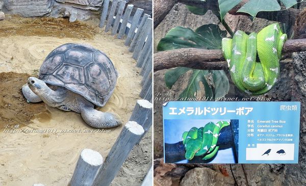 上野動物園:知識趣味兼具,大人小孩都喜歡!! ..來去上野動物園~~ 上野動物園:知識趣味兼具,大人小孩都喜歡!! ..來去上野動物園~~