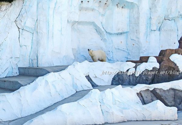 上野動物園:知識趣味兼具,大人小孩都喜歡!! ..來去上野動物園~~ 上野動物園:知識趣味兼具,大人小孩都喜歡!! ..來去上野動物園~~