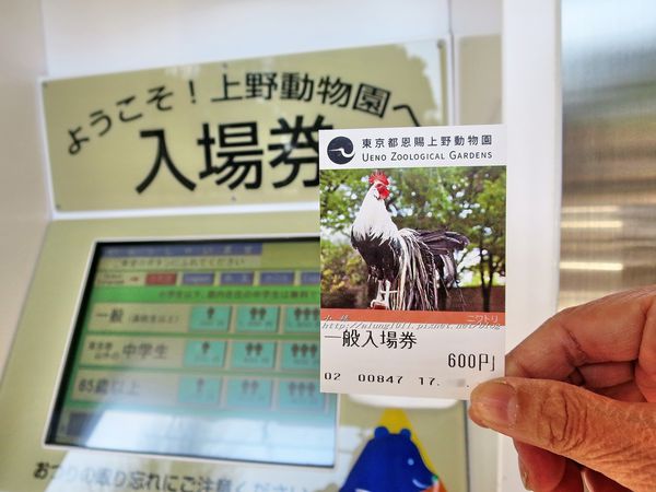 上野動物園:知識趣味兼具,大人小孩都喜歡!! ..來去上野動物園~~ 上野動物園:知識趣味兼具,大人小孩都喜歡!! ..來去上野動物園~~
