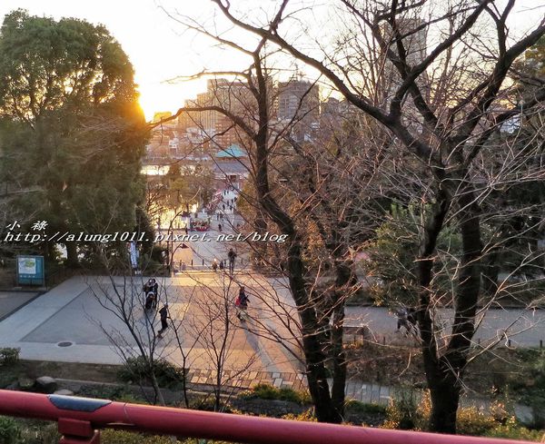 清水観音堂：上野公園南側 / 清水堂 / 弁天堂 / 不忍池畔傍晚散步~