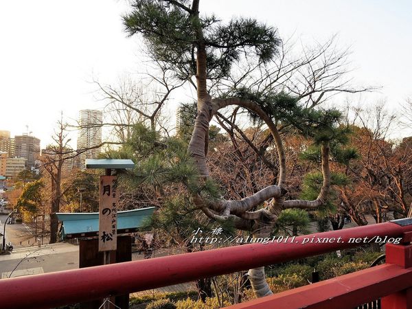 清水観音堂：上野公園南側 / 清水堂 / 弁天堂 / 不忍池畔傍晚散步~