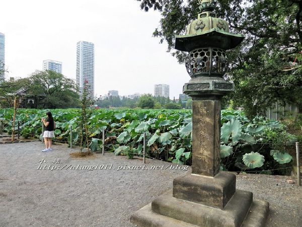 清水観音堂：上野公園南側 / 清水堂 / 弁天堂 / 不忍池畔傍晚散步~