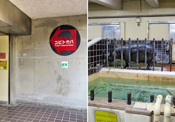 上野動物園:知識趣味兼具,大人小孩都喜歡!! ..來去上野動物園~~ 上野動物園:知識趣味兼具,大人小孩都喜歡!! ..來去上野動物園~~