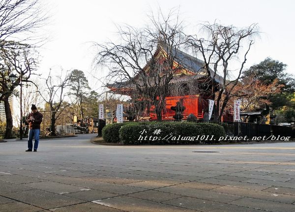 清水観音堂：上野公園南側 / 清水堂 / 弁天堂 / 不忍池畔傍晚散步~