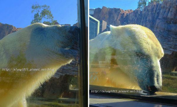 上野動物園:知識趣味兼具,大人小孩都喜歡!! ..來去上野動物園~~ 上野動物園:知識趣味兼具,大人小孩都喜歡!! ..來去上野動物園~~