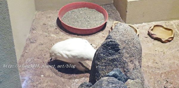 上野動物園:知識趣味兼具,大人小孩都喜歡!! ..來去上野動物園~~ 上野動物園:知識趣味兼具,大人小孩都喜歡!! ..來去上野動物園~~