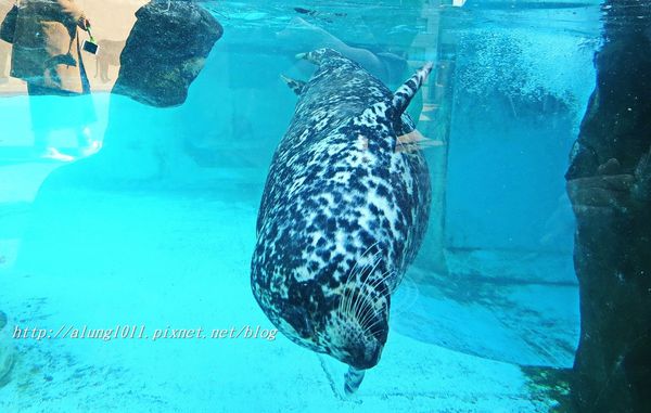 上野動物園:知識趣味兼具,大人小孩都喜歡!! ..來去上野動物園~~ 上野動物園:知識趣味兼具,大人小孩都喜歡!! ..來去上野動物園~~