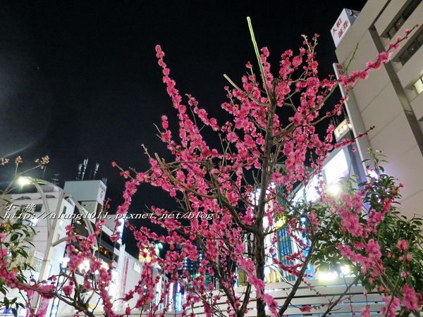 阿美橫丁(Ameyoko)：アメ横‧逛逛阿美橫町~~