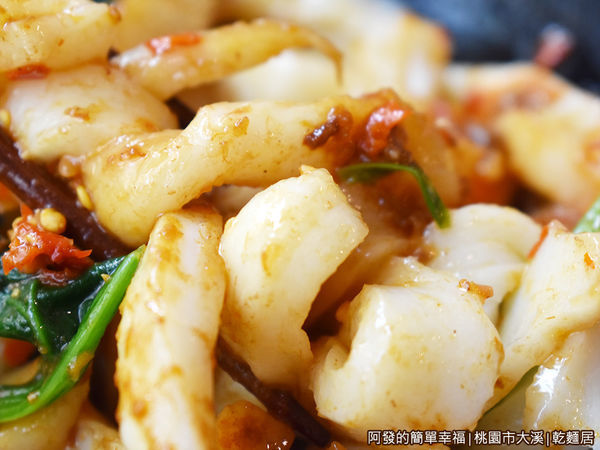 乾麵居10-辛辣粄條-粄條特寫.JPG