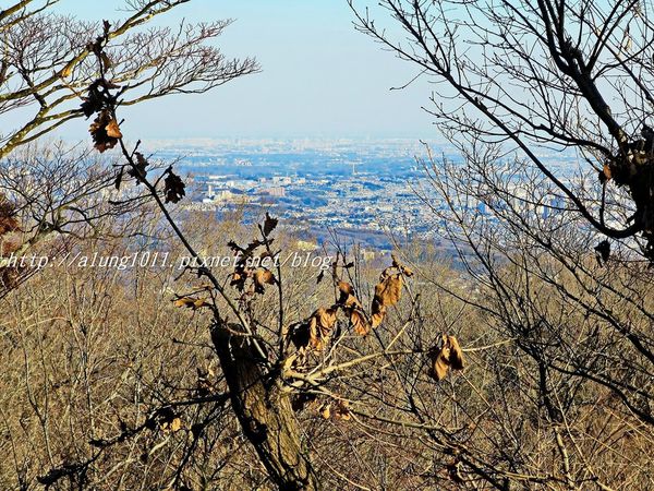 高尾山：米其林三星景點!!!   ..八王子高尾山 2 / 登山篇