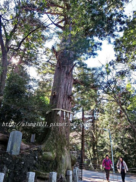 高尾山：米其林三星景點!!!   ..八王子高尾山 2 / 登山篇