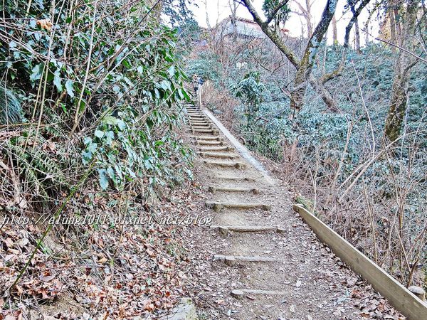 高尾山：米其林三星景點!!!   ..八王子高尾山 2 / 登山篇