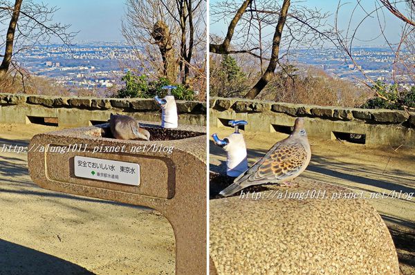 高尾山：米其林三星景點!!!   ..八王子高尾山 2 / 登山篇