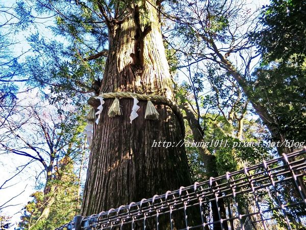 高尾山：米其林三星景點!!!   ..八王子高尾山 2 / 登山篇