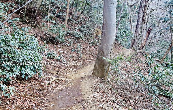 高尾山：米其林三星景點!!!   ..八王子高尾山 2 / 登山篇