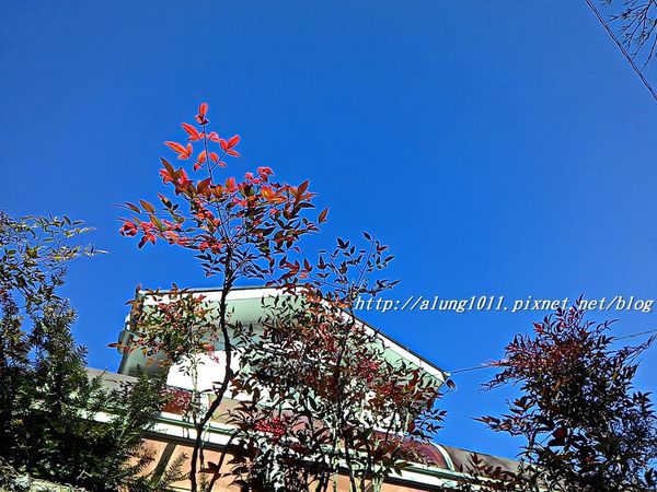 高尾登山電鉄(株)：米其林三星景點!!!  ..八王子高尾山 / 纜車篇