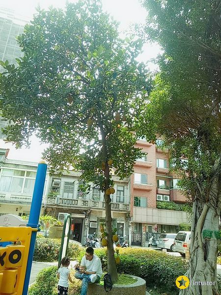 景化公園7.jpg 景化公園7.jpg