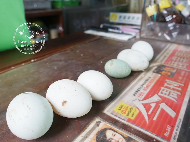 【遊】紅土溫泉野放鴨｜潘氏農場鹹蛋DIY vs 無料泡腳池 @魚兒 x 牽手明太子的「視」界旅行