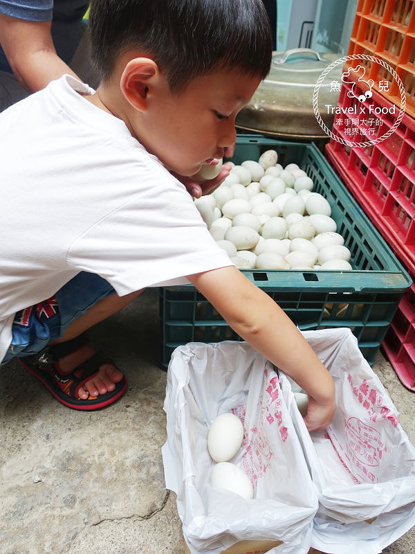 【遊】紅土溫泉野放鴨｜潘氏農場鹹蛋DIY vs 無料泡腳池 @魚兒 x 牽手明太子的「視」界旅行