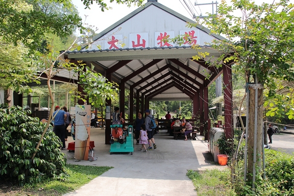 大山休閒牧場：【彰化花壇景點】大山休閒牧場~享用美味鮮乳製品，坐大山小火車，季節限定油桐花，親子遊好去處