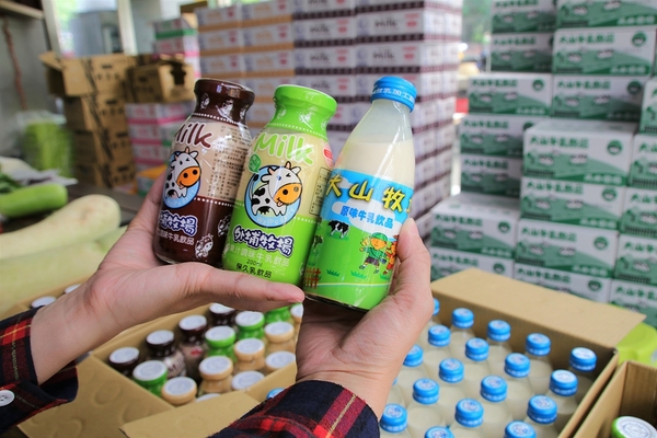 大山休閒牧場：【彰化花壇景點】大山休閒牧場~享用美味鮮乳製品，坐大山小火車，季節限定油桐花，親子遊好去處