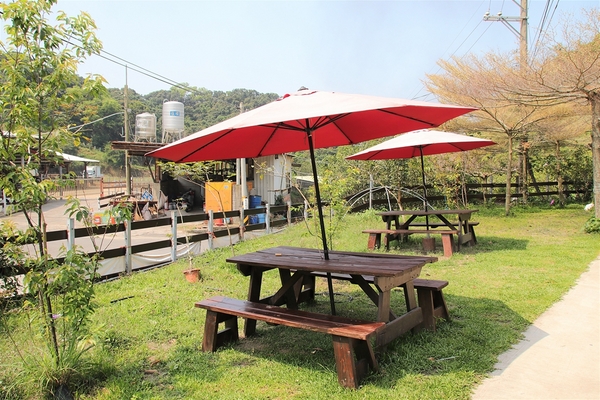 大山休閒牧場：【彰化花壇景點】大山休閒牧場~享用美味鮮乳製品，坐大山小火車，季節限定油桐花，親子遊好去處