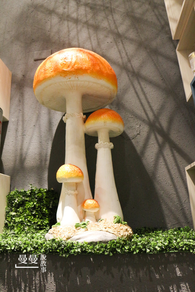 20180108_法奇瓦朵-29