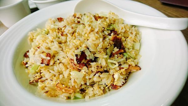 61255421_2435033819861626_3077740798008098816_n