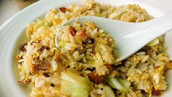 61179702_2435033873194954_4932230147966238720_n