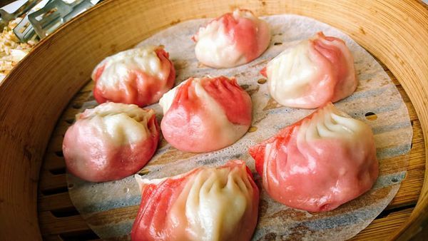 61621276_2435034469861561_5320699683507535872_n